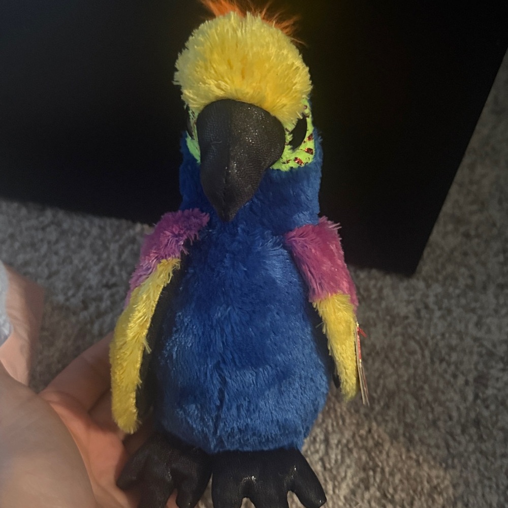 TY Parrot